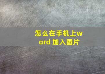 怎么在手机上word 加入图片